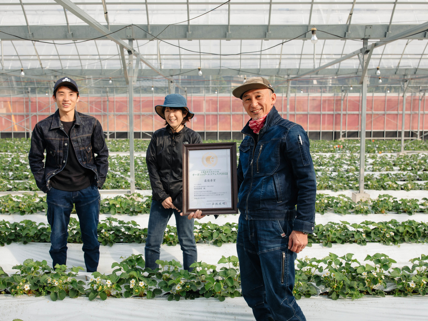 農薬ゼロ 100%オーガニックいちご 12粒:徳島県産のさちのか 農薬ゼロ 100%オーガニックいちご 12粒:徳島県産のさちのか