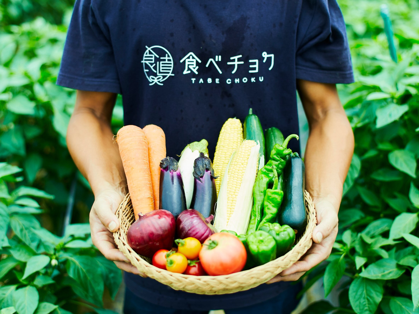 朝採りトウモロコシ3本+夏野菜セット【トウモロコシ3本+夏野菜6袋