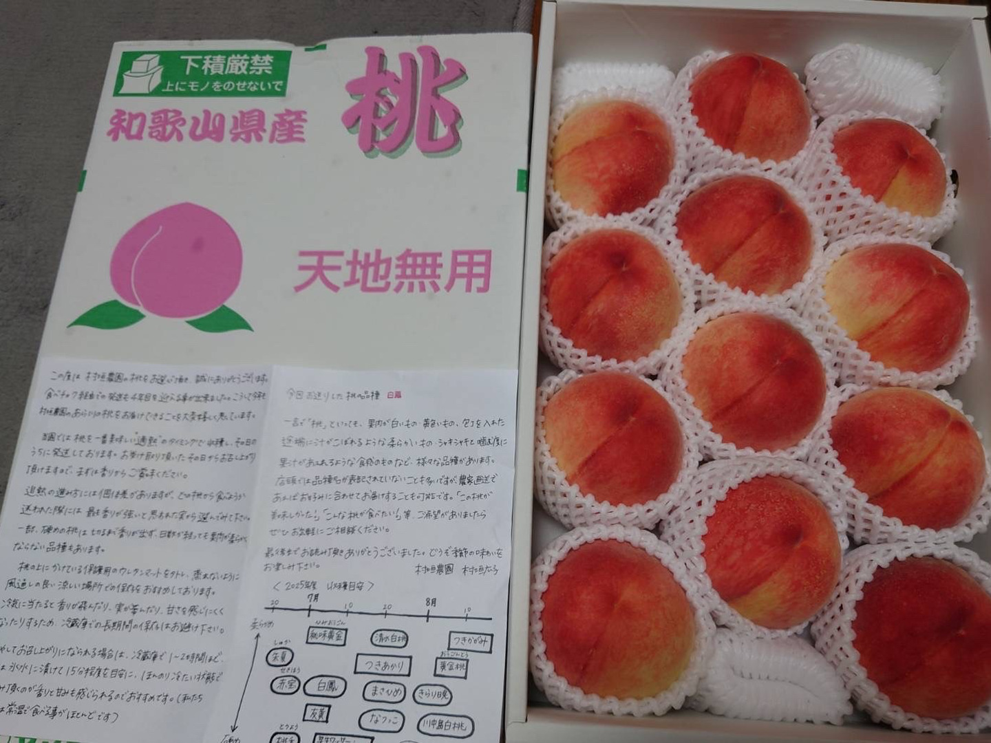 あら川の桃 品種おまかせ 大箱(10～13玉)【秀品】【夏ギフト