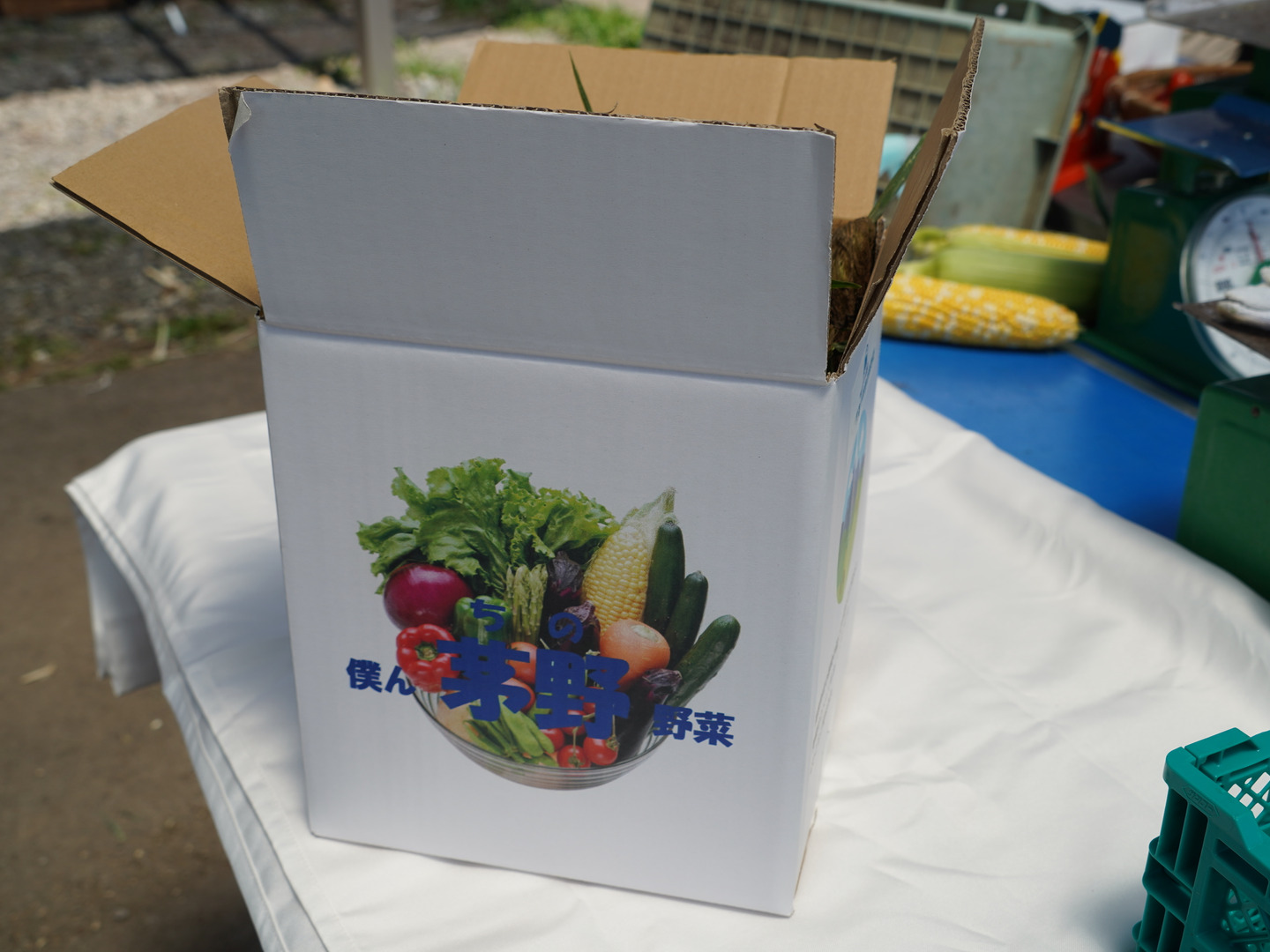 朝採り即出荷】八ヶ岳産グラビス とうもろこし 約4kg（11本前後