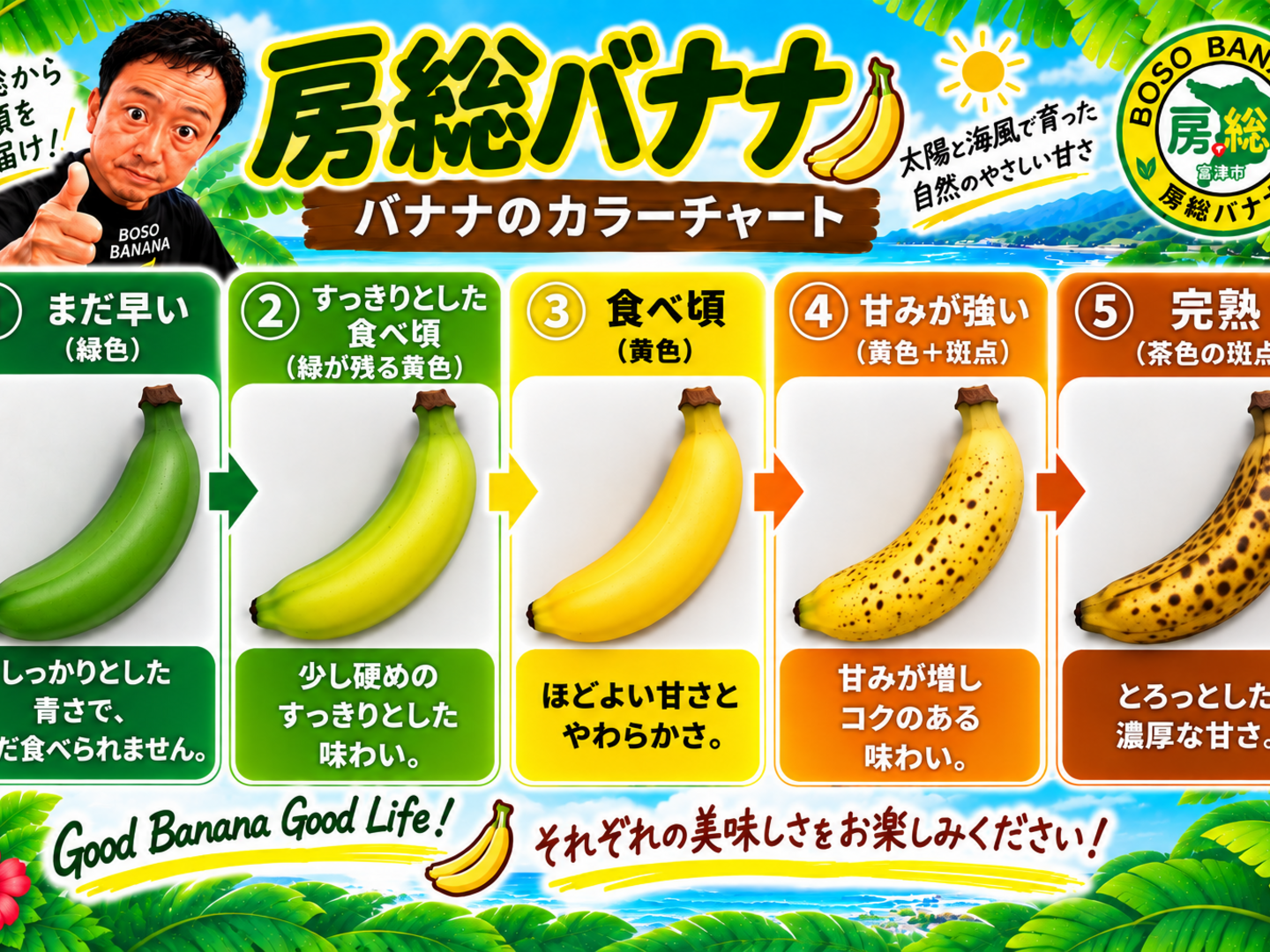 訳アリ品】 甘くてねっとり 千葉県産房総バナナ 1.8kg（約10～20本