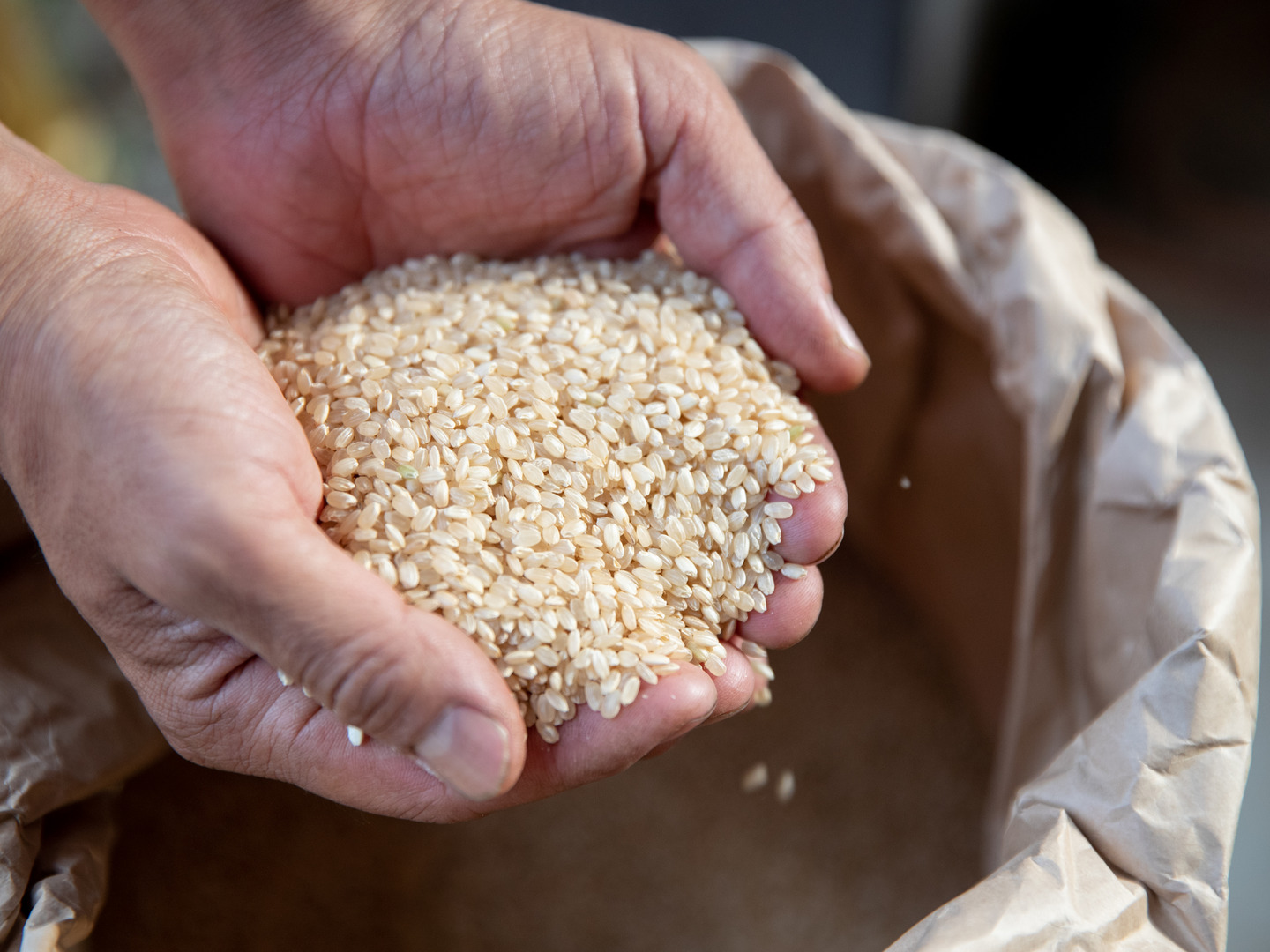 りんパパ　令和６年　新米　玄米　 20kg　つきあかり　自家保有　/訳あり りんパパ様専用 令和6年 新米 玄米 20kg つきあかり 自家保有