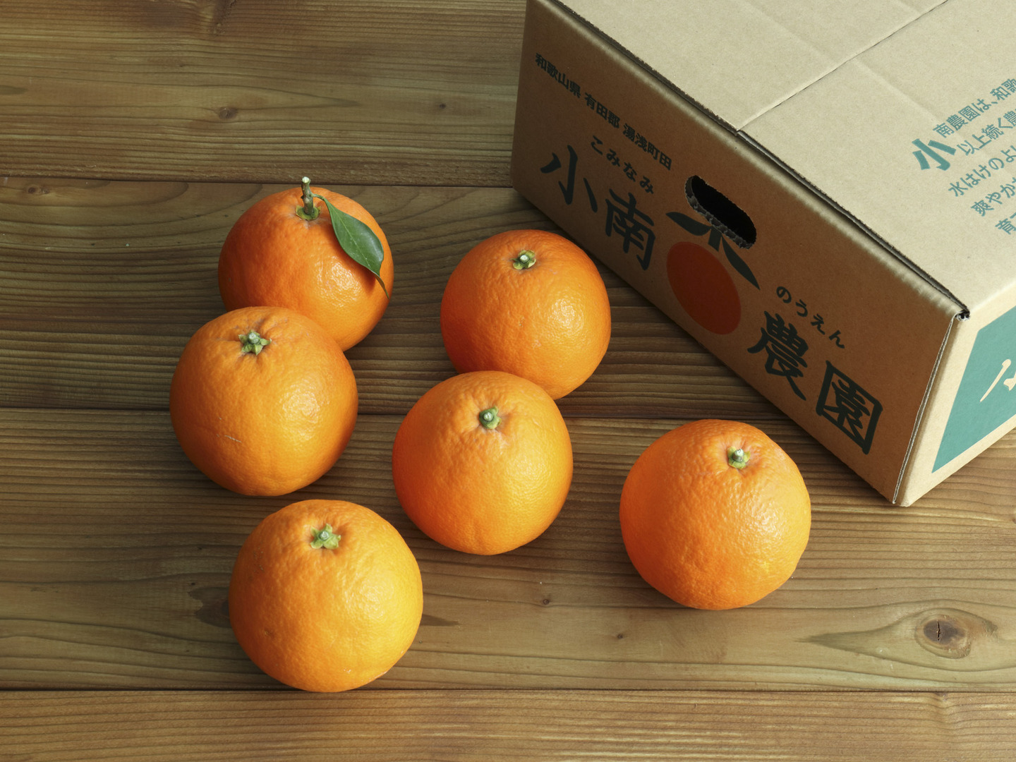 ブラッドオレンジ（3KG） 和歌山県有田産・タロッコ種：和歌山県