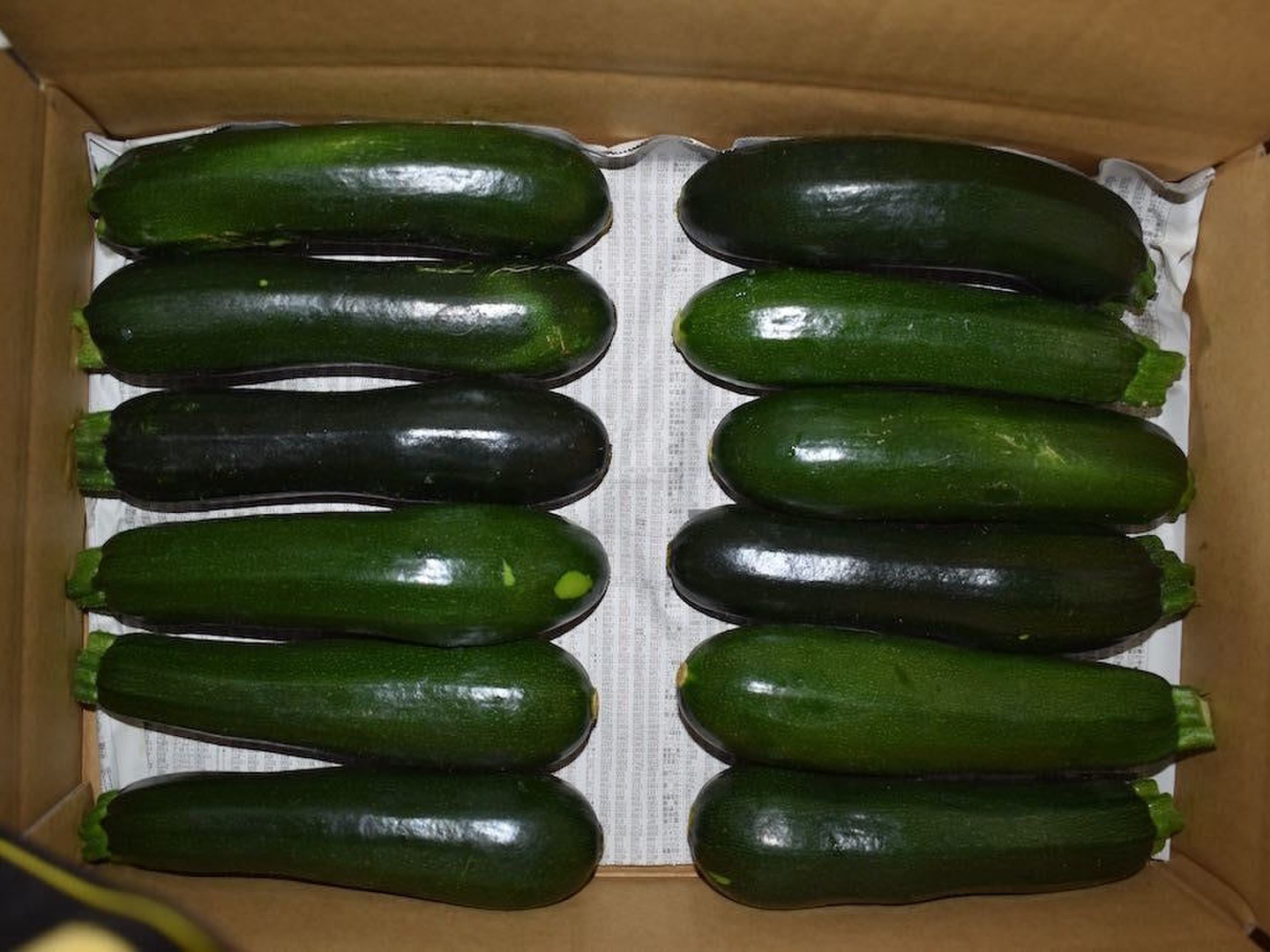 有名な高級ブランド 98a1d77d4ad7ceee5098ee2f451554 野菜