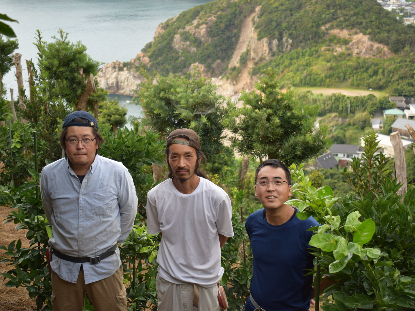 ブラッドオレンジ（3KG） 和歌山県有田産・タロッコ種：和歌山県