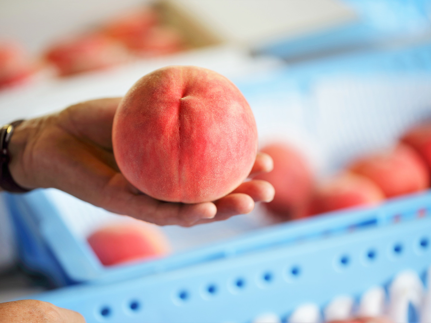 a1f4e272e2a8d4b8cd95fda13bb440