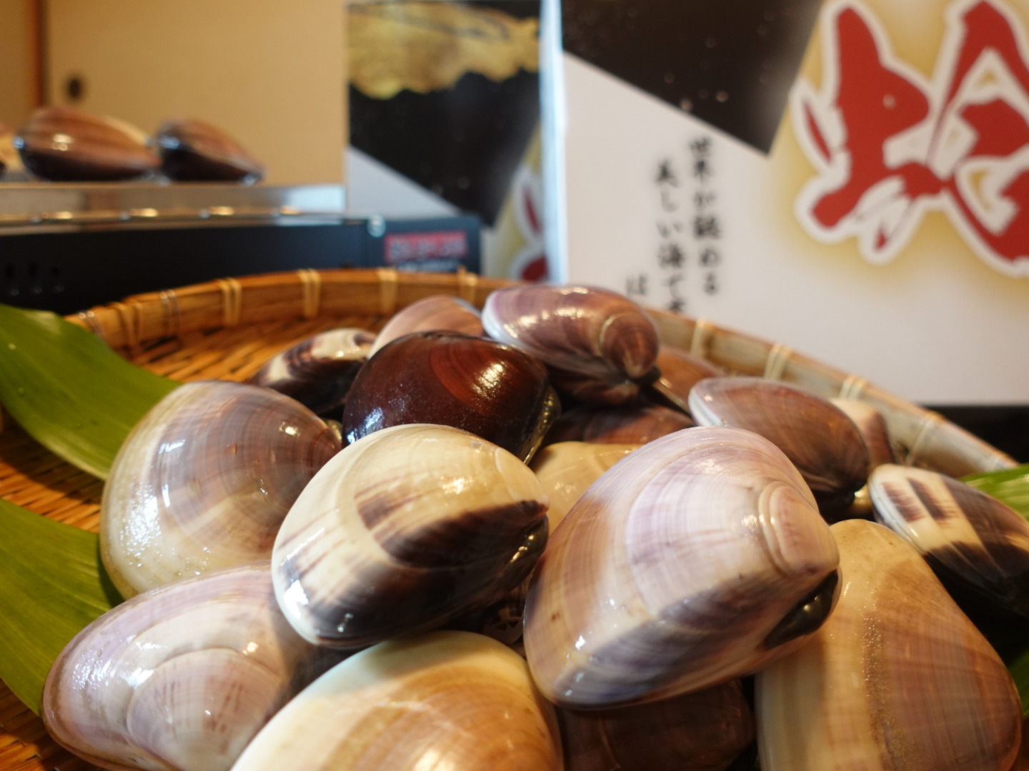日時指定も可！】大粒活はまぐり3㎏入り(約45～60個前後