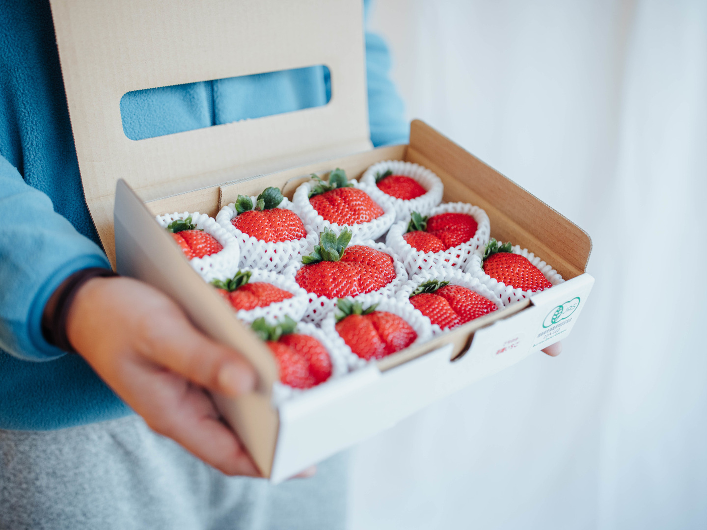 いちごサロペット いちごサロペット Johnbull サロペット オーバーオール デニムチューブ