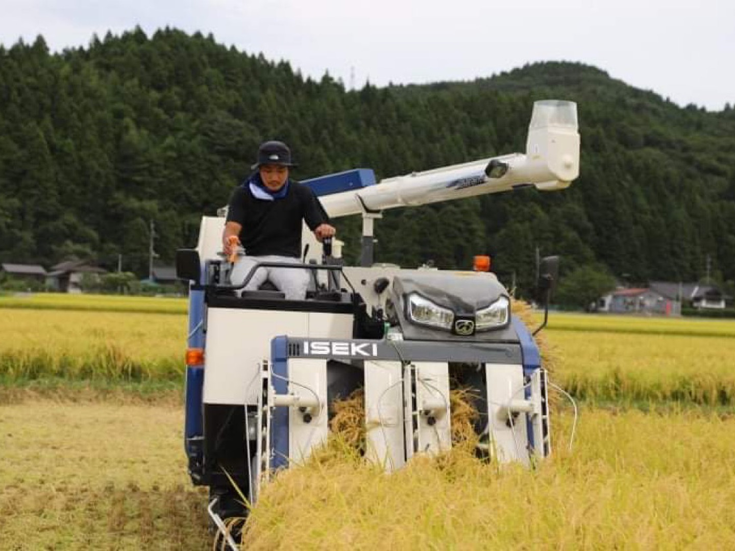 令和6年新米】はえぬき9.8キロ白米さっぱり食感！！：山形県産の