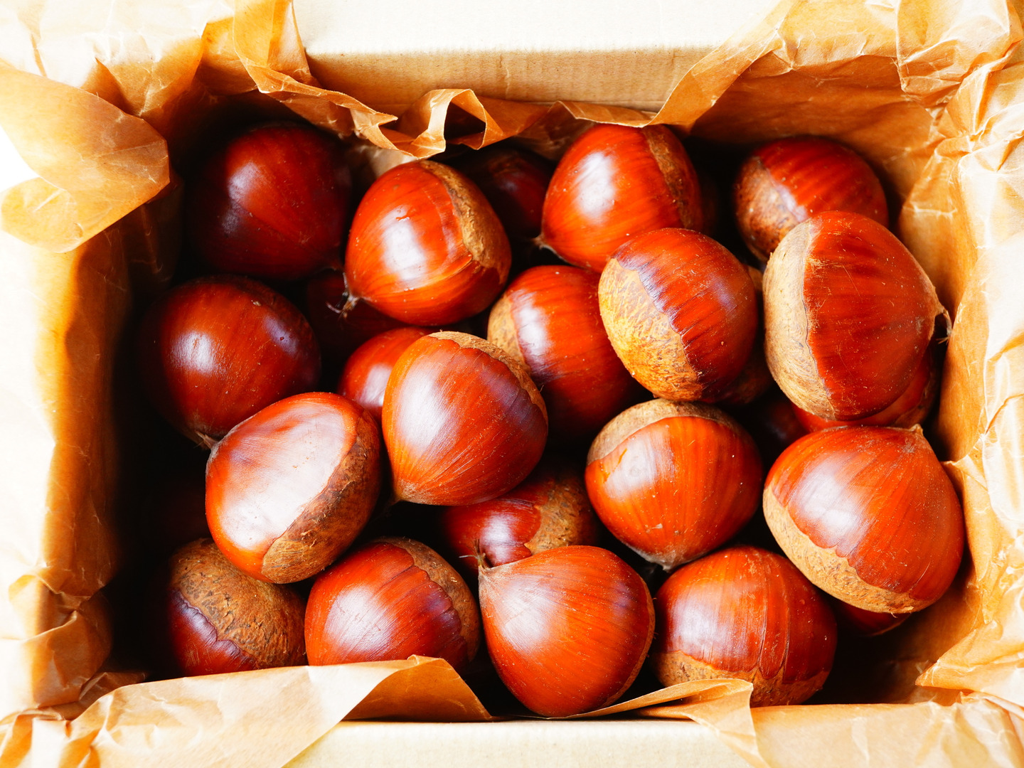 🌰熊本県産 自然栽培和栗 1kg サイズいろいろ🌰：熊本県産の丹沢栗