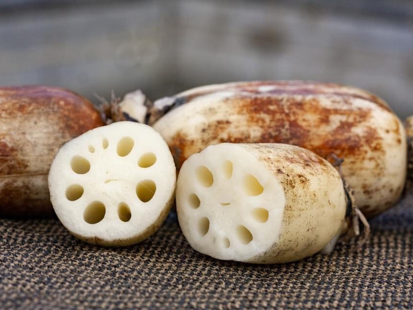 真空パックさつま揚げ。れんこん天