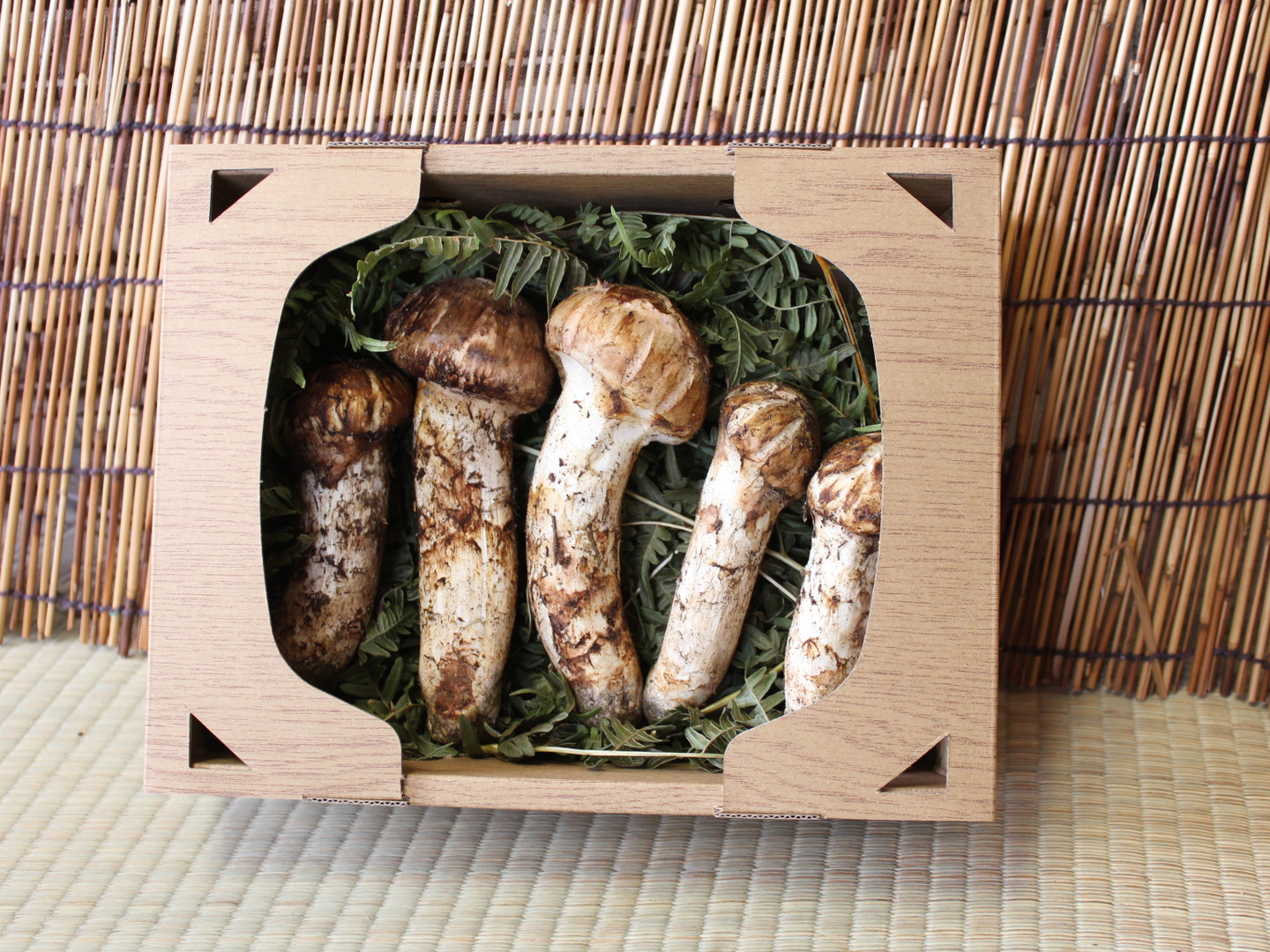 【長野県産松茸】264g 国産 松茸｜南信州から産地直送でお送りします。 ffbe8aa106be6c27c096cb1bce28e2
