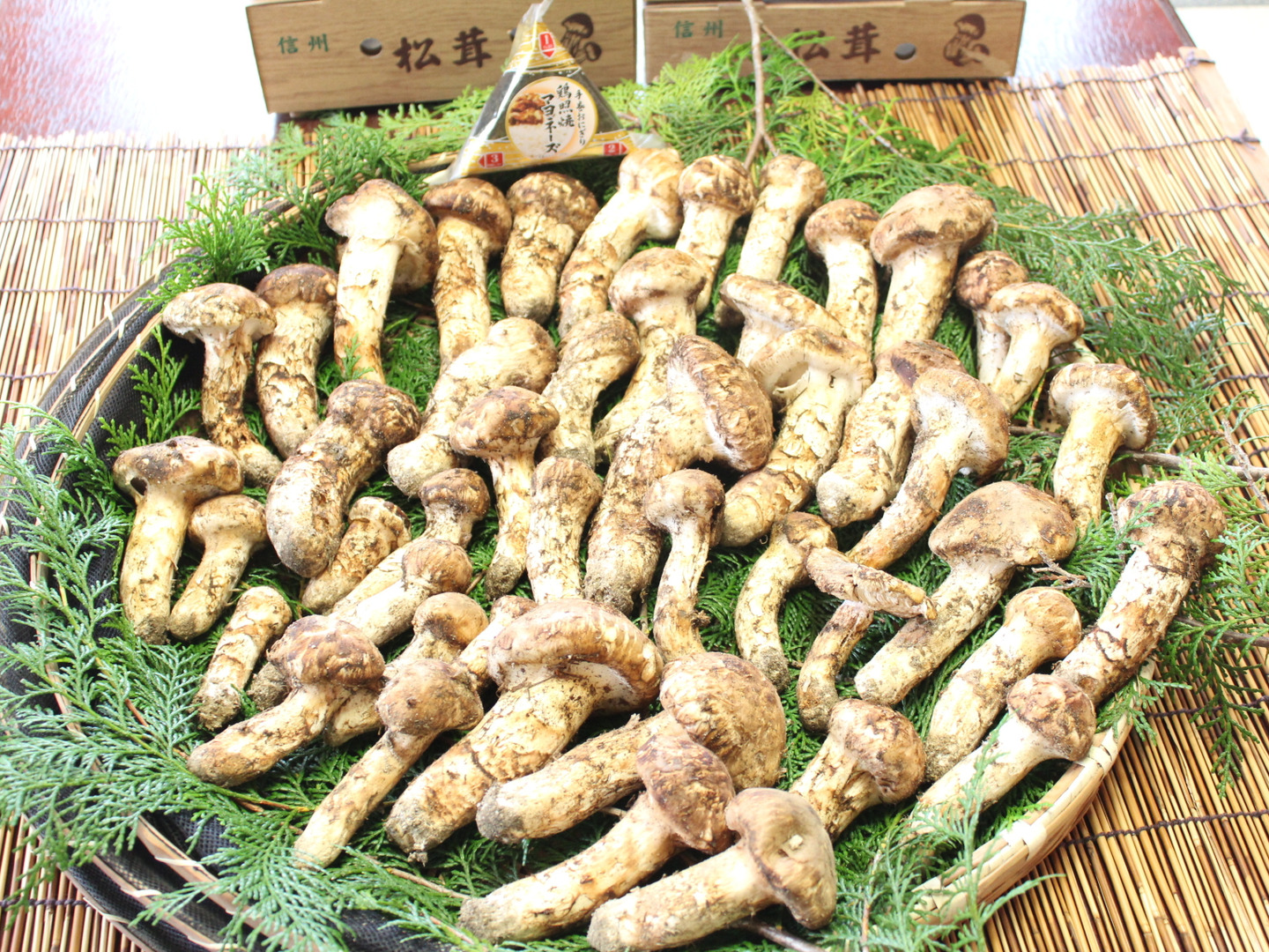 南信州の採りたて松茸 1等級～2等級品（300g）：長野県産