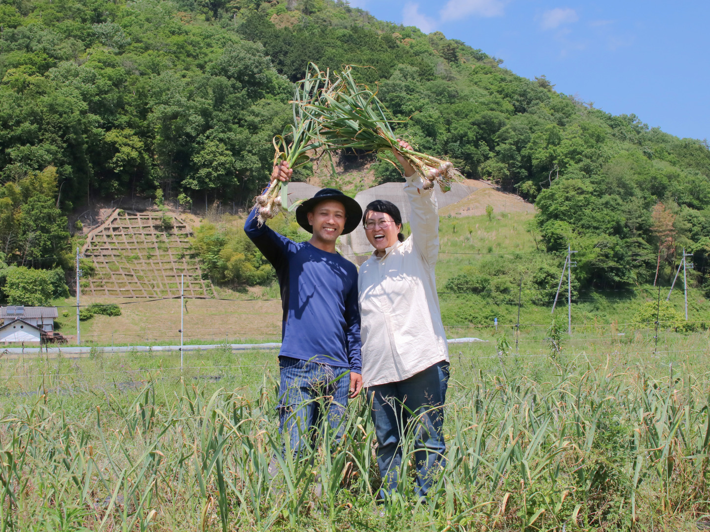 安心安全　完全無農薬　丹波産　こだわり　新鮮　味が濃い　米　果物　野菜詰め合わせ 野菜詰め合わせセット 無・減農薬 京野菜 丹波産旬の野菜・新米