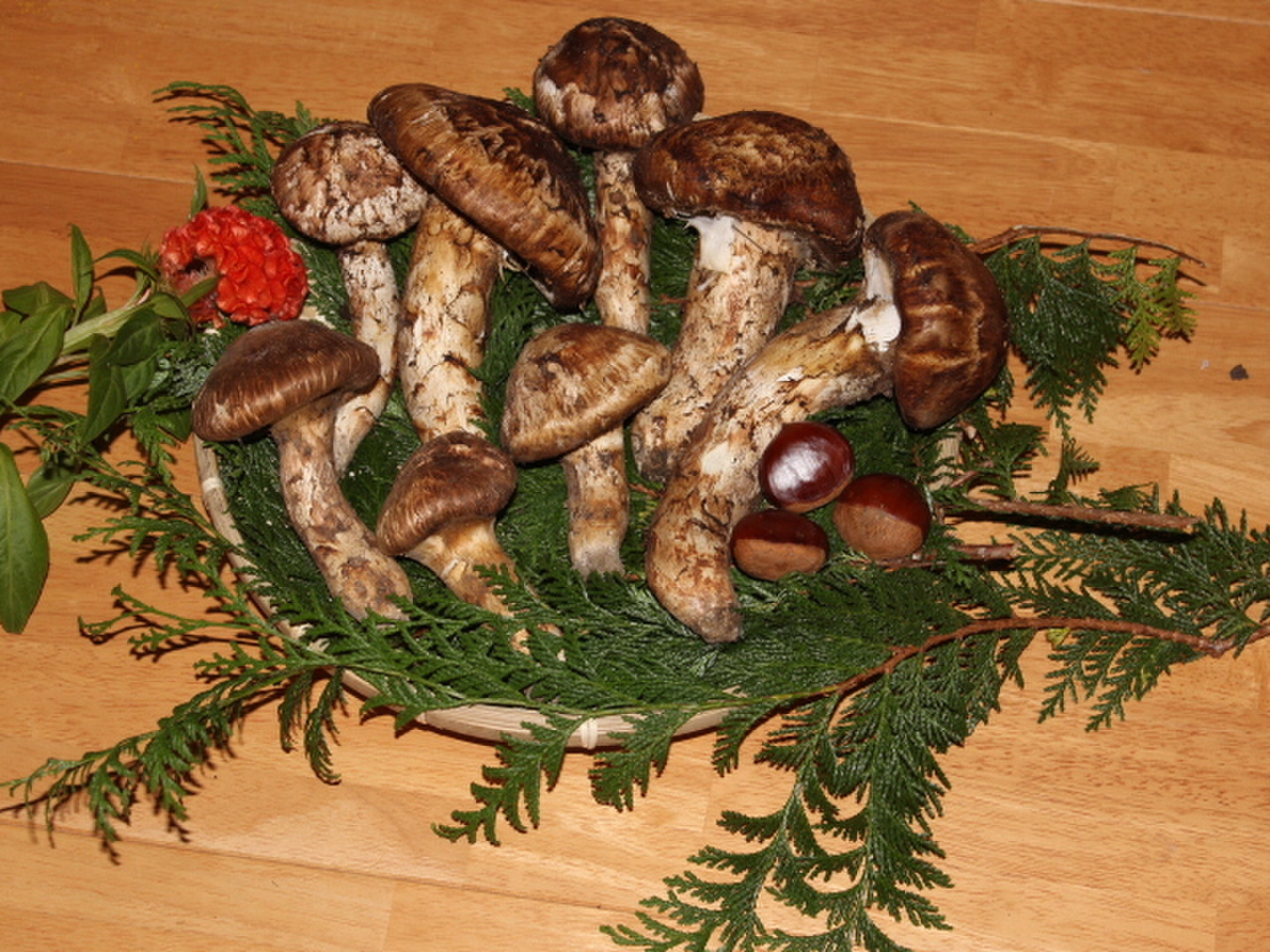 長野県産　南信州産　松茸　425g　③ 南信州産 マツタケ 2等級～3等級（半開き・開き）300g