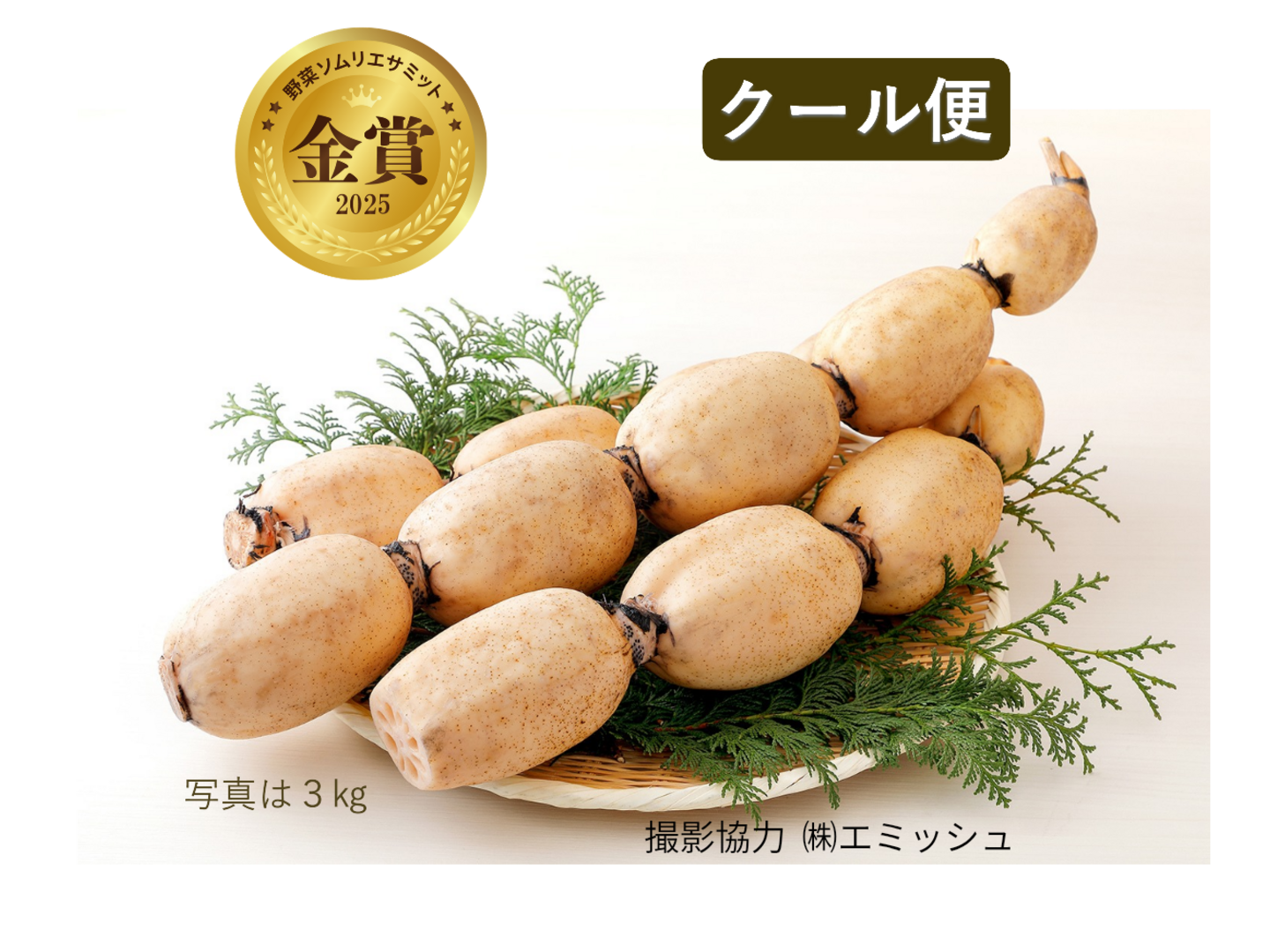 クール便【2025年野菜ソムリエサミット金賞】すずきの「口福れんこん