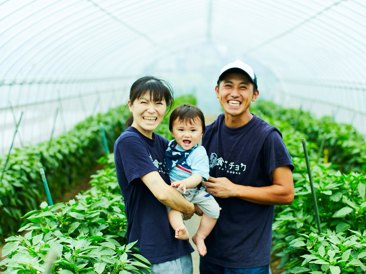 Sサイズ ＊旬野菜セット(約6~7品)【農薬：栽培期間中不使用