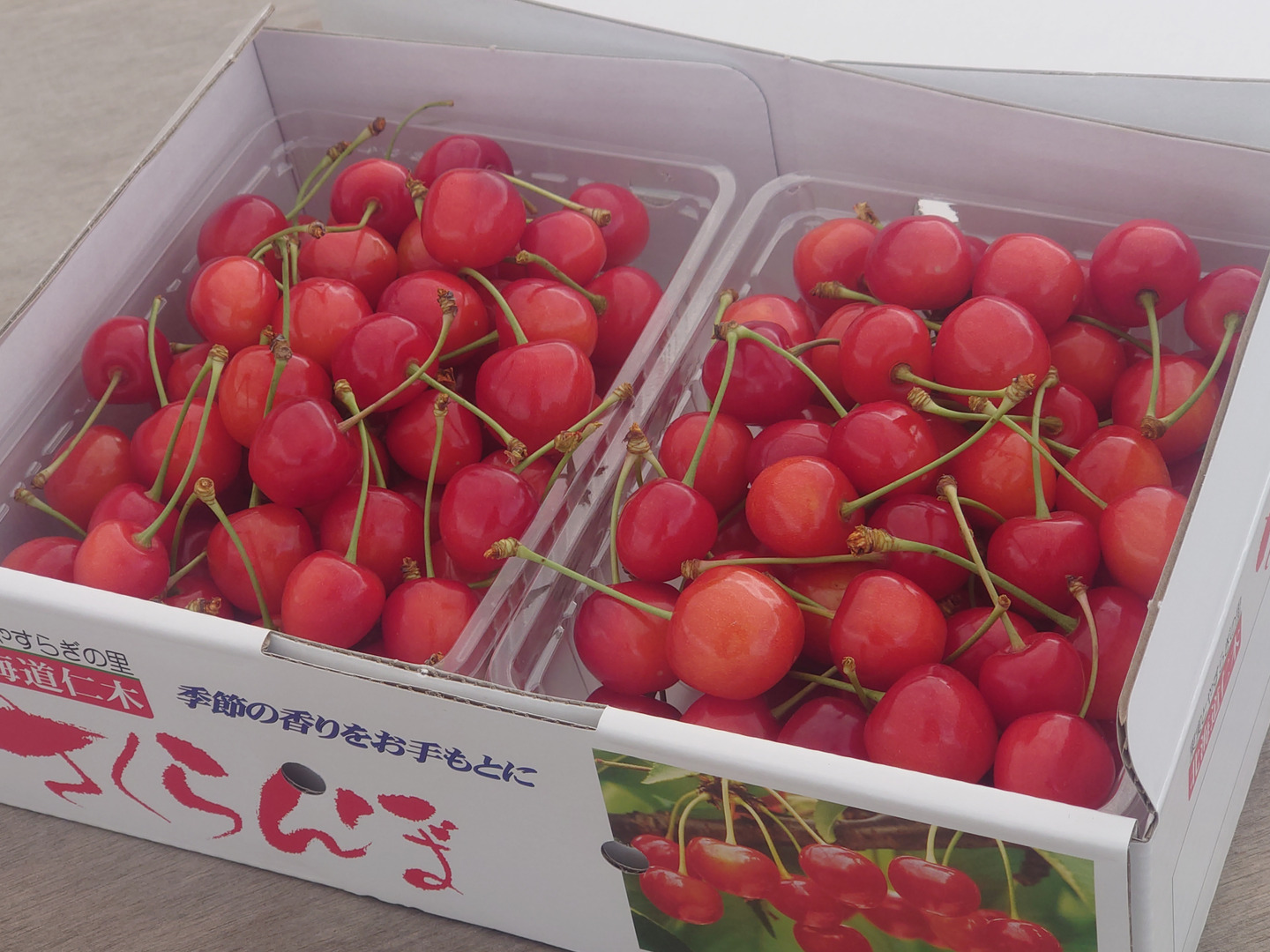 さくらんぼ　ニュースキン製品 特朝採れさくらんぼ 1キロ ※売り切れたらご注文いただいてても