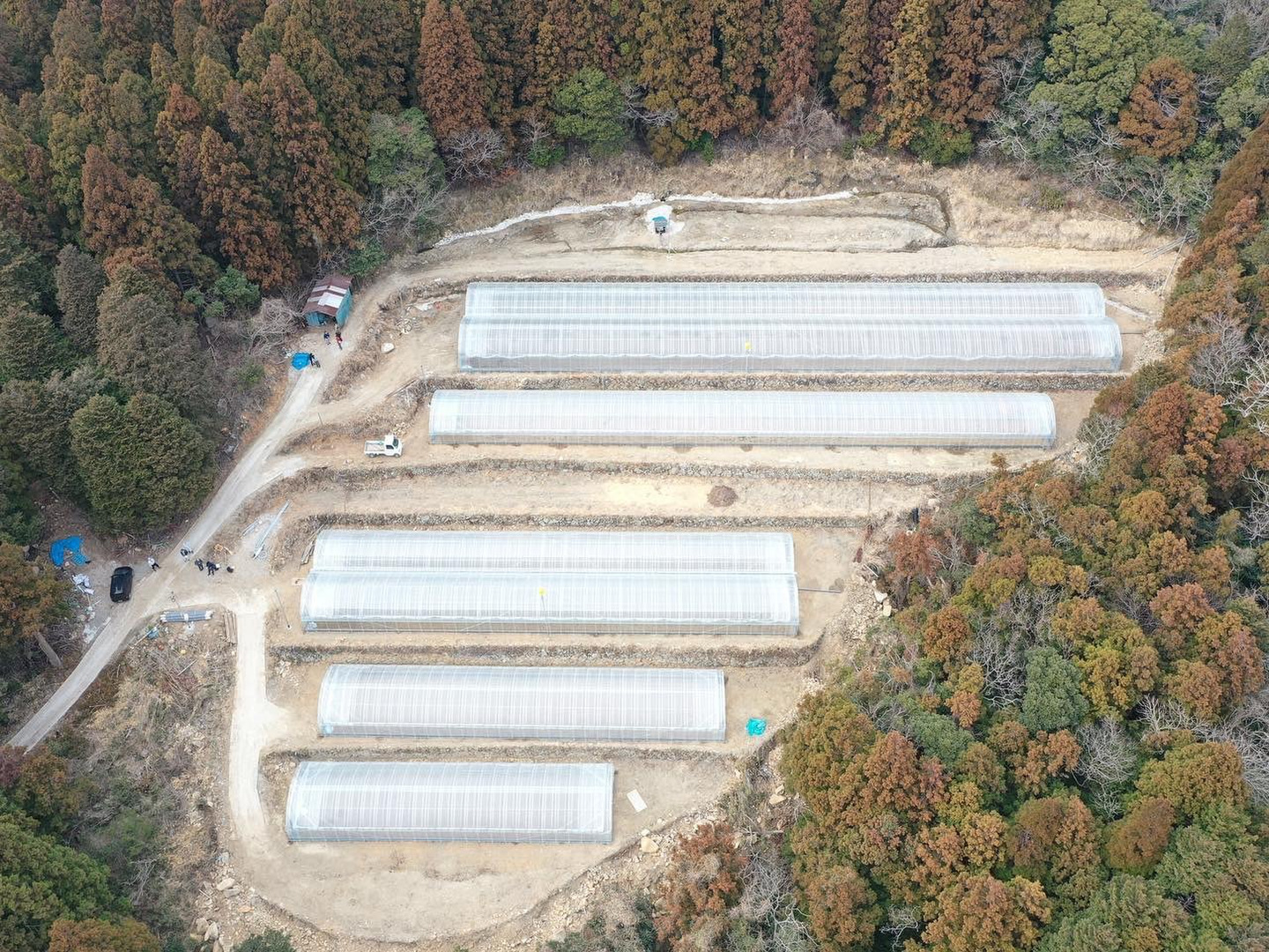 長崎産アスパラガス2L.Lサイズ 500グラムの通販 by アグリ｜ラクマ