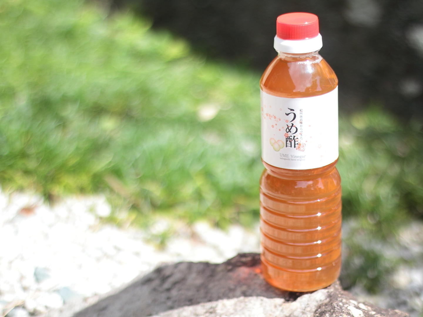スプラウト農園（梅・梅酢 販売休止中） d483bd32b0b5e4f80bb8a79972487c