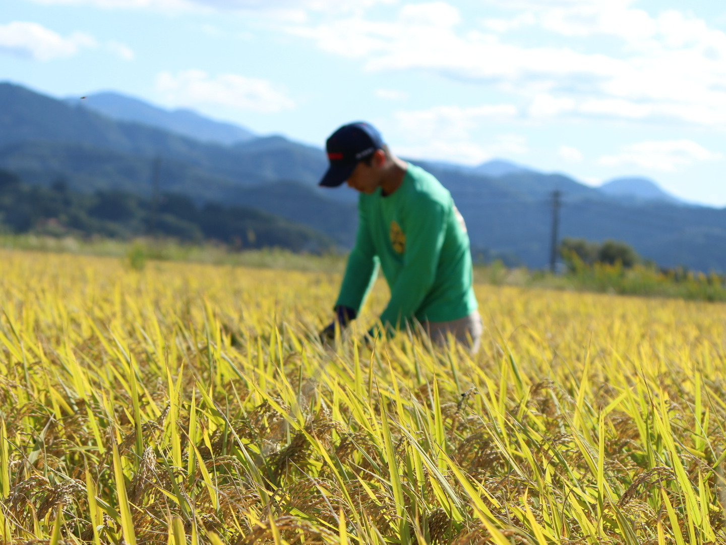 新米【玄米】山形県産 農家直送 つや姫 子どもに食べさせたいお