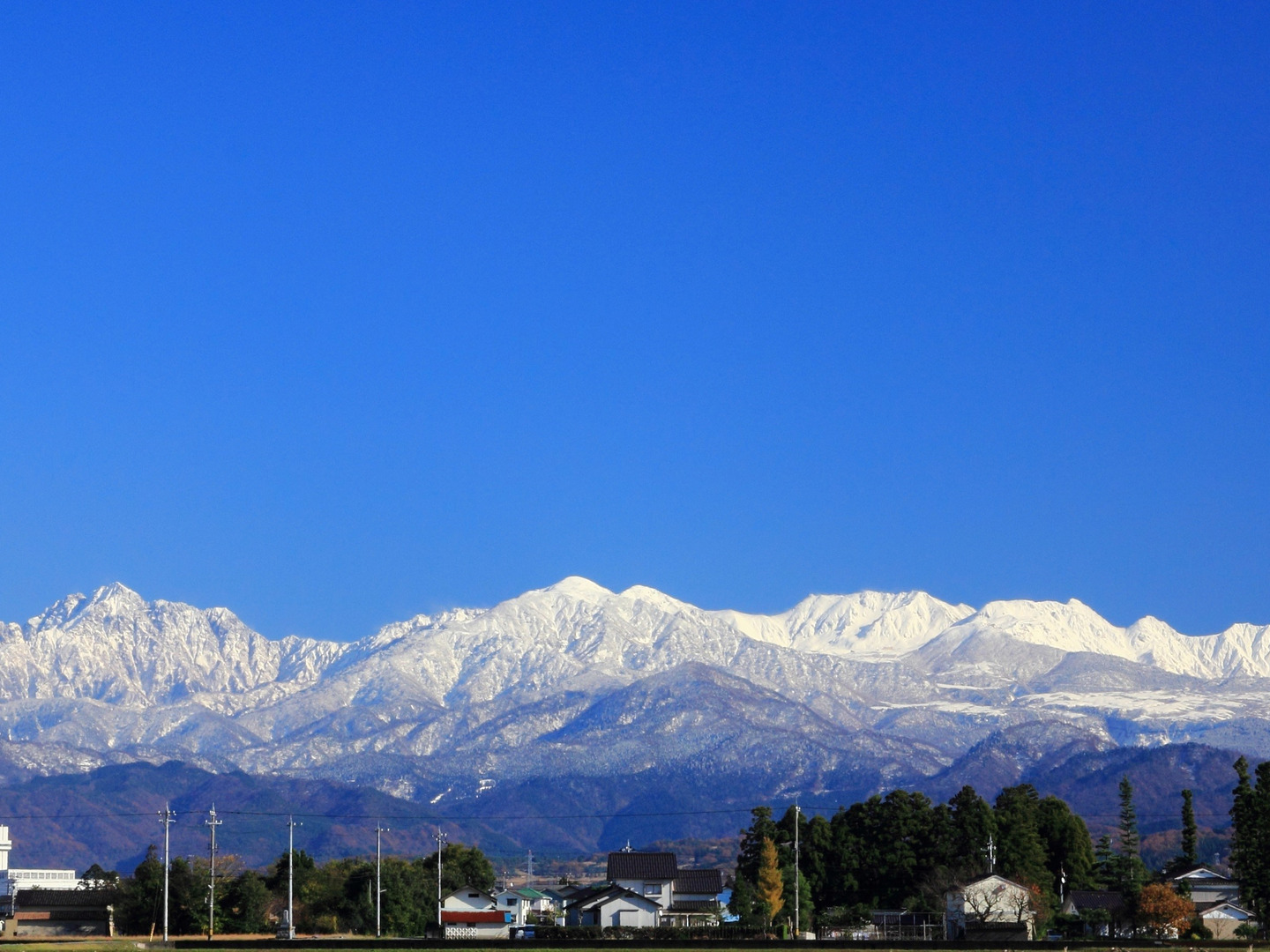 富山県産『コシヒカリ』精米5㎏(令和5年産)：富山県産のお米