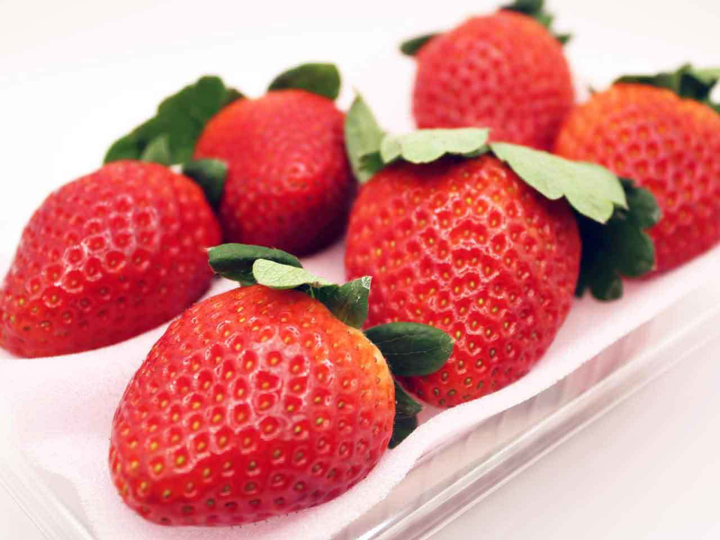 売れ筋アイテムラン 8P)約2kg【いちご・とちあいか】実がしっかりして酸味が少なく甘 果物