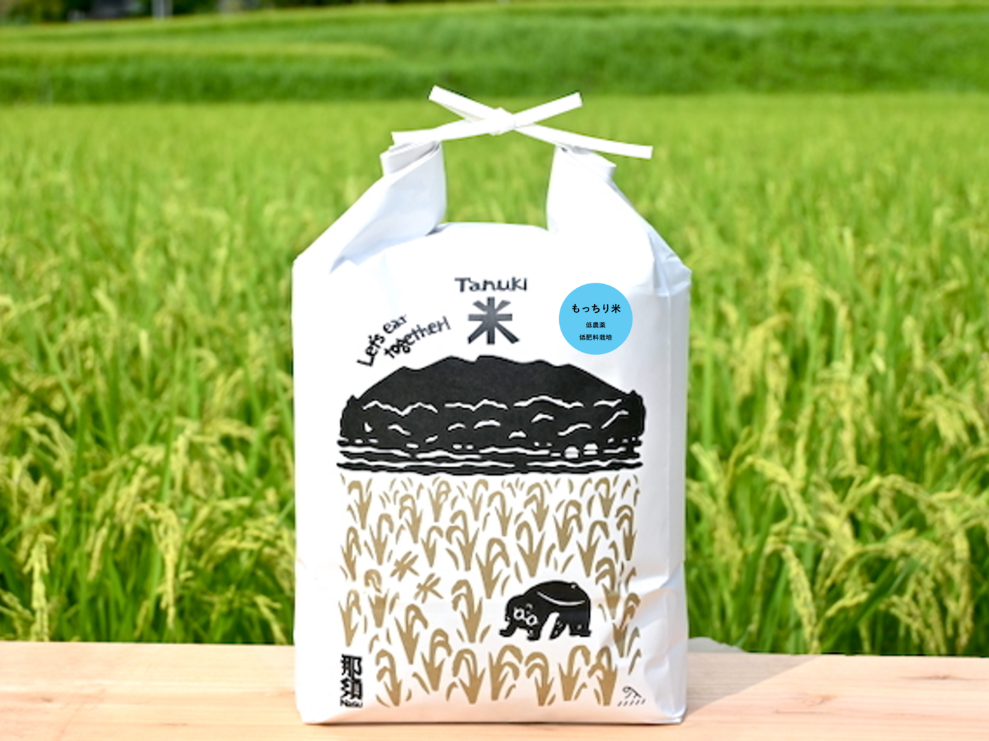 令和8年 新米】【玄米】『もっちりコシヒカリ 2kg』定番人気！ お弁当