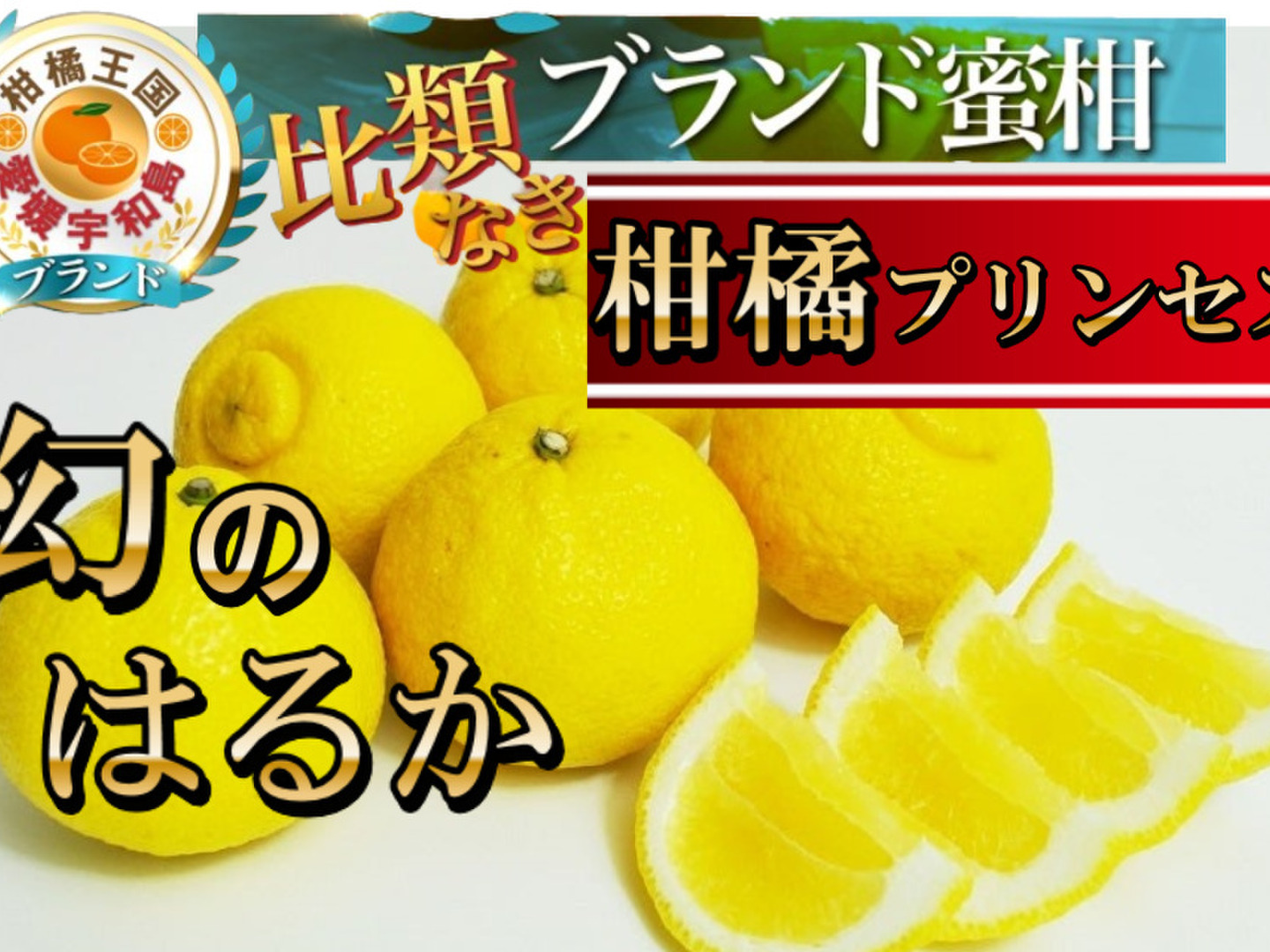 e392f12a49d943e8e01c43c3ccf3d1