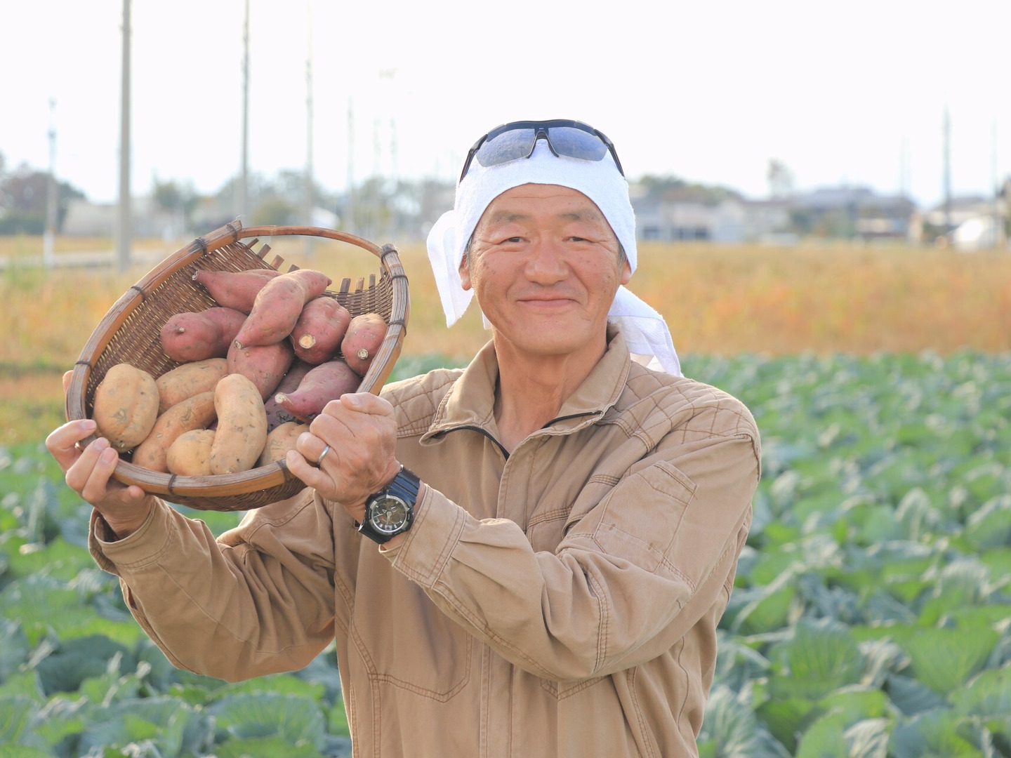 予約販売】《長期熟成200日蔵出しさつまいも》甘くて美味しい