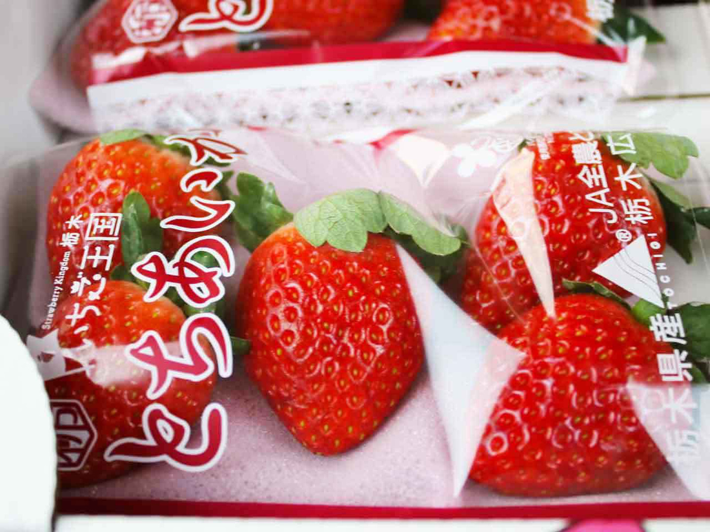 ホットセール 口コミ f031858c393739e51409072e57671a 果物