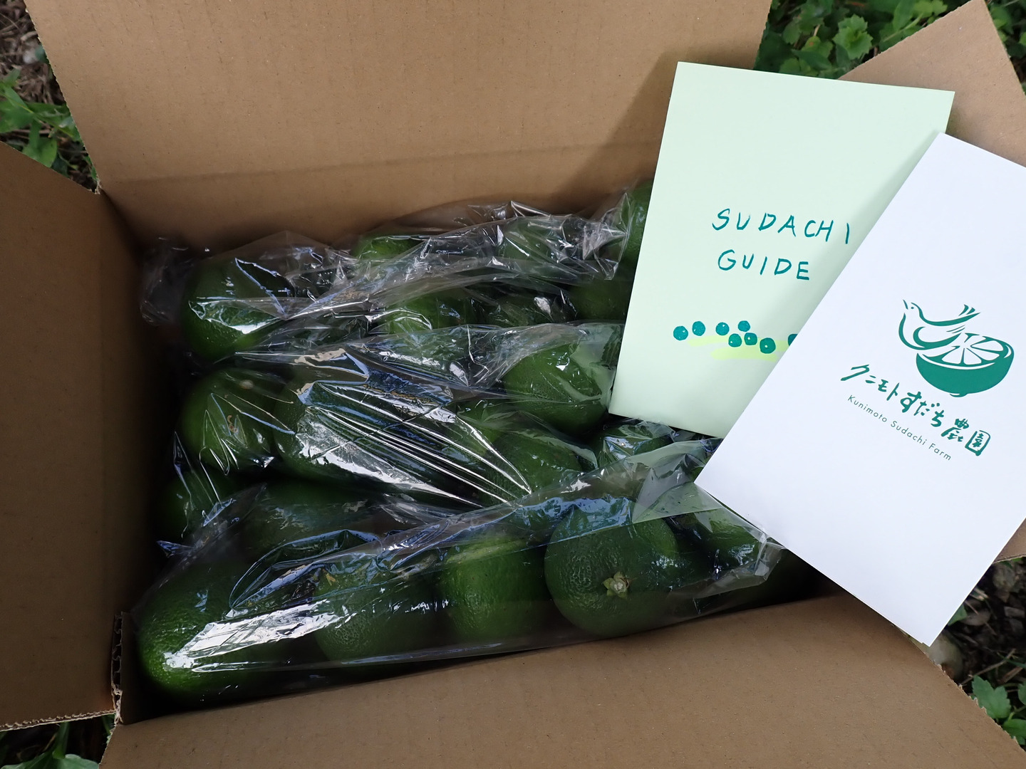 BIG！すだち【特別栽培・3kg箱】神山町からお届け：徳島県産のみかん