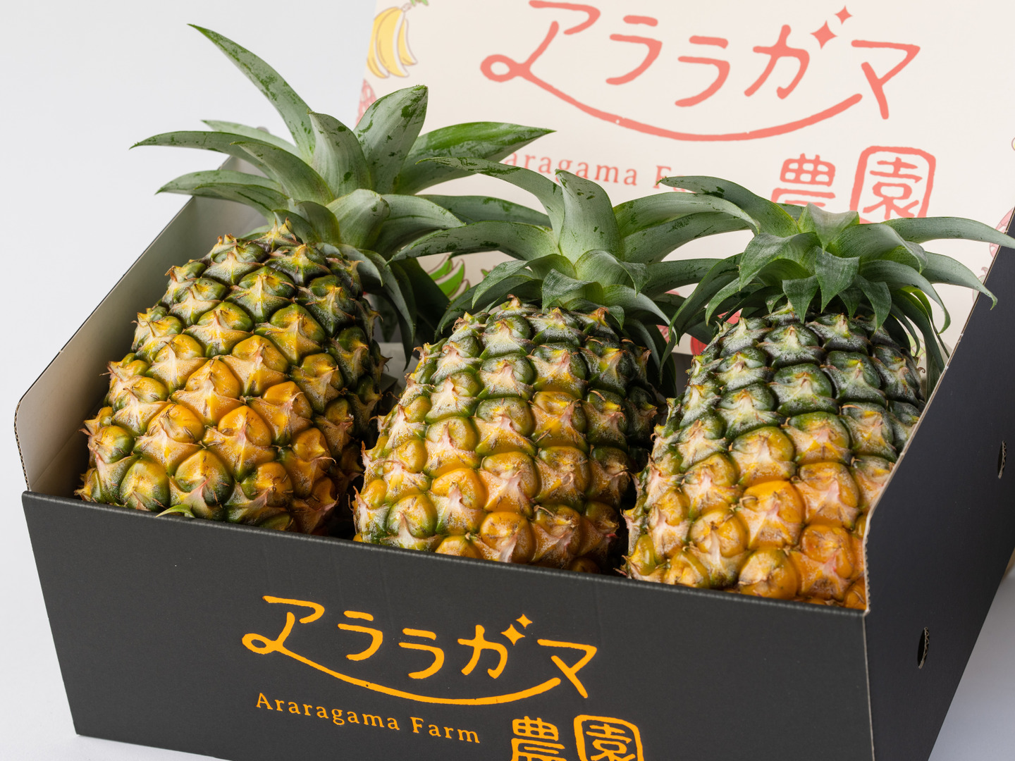 大容量！西表島産　パイナップル　島パイン 　約10kg パイナップルの極み！西表島産『完熟ハワイ種(島パイン)』2㎏（2