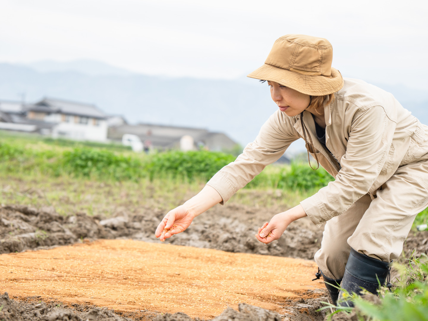 甘みを感じる🌾ごきげん栽培米🌾令和6年新米徳島県産コシヒカリ