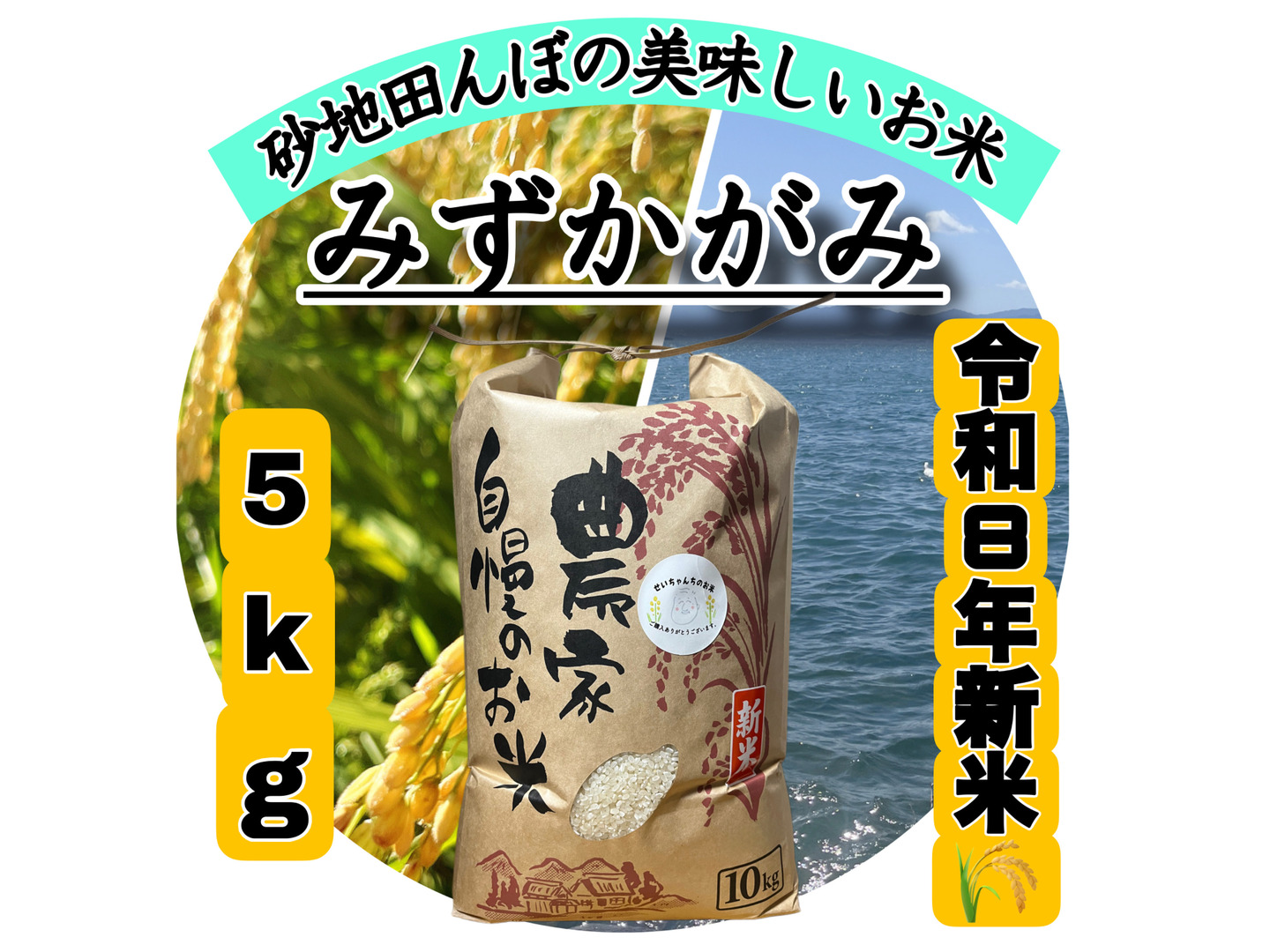 令和8年新米】【白米】 『みずかがみ5kg』まろやかな甘みとほどよい