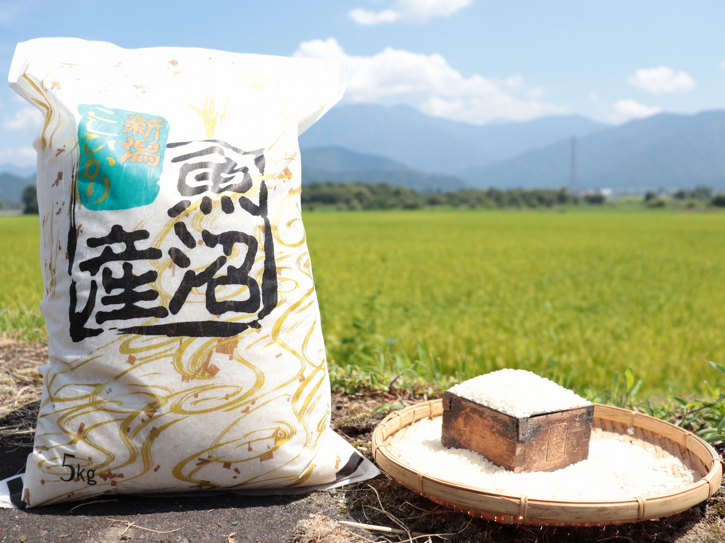 新潟県南魚沼産 ちび干し椎茸1㎏ 新潟県南魚沼産 ちび干し椎茸1㎏