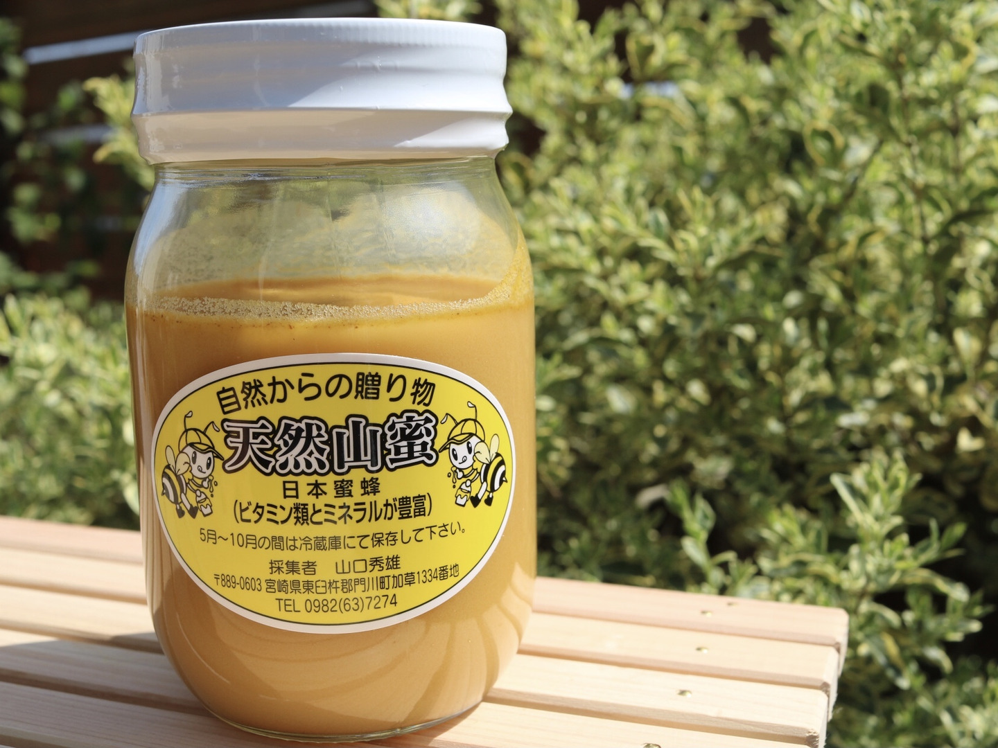 【メーカー公式ショップ】 6a2b5550c25df81892f7a35b2a2c44 その他