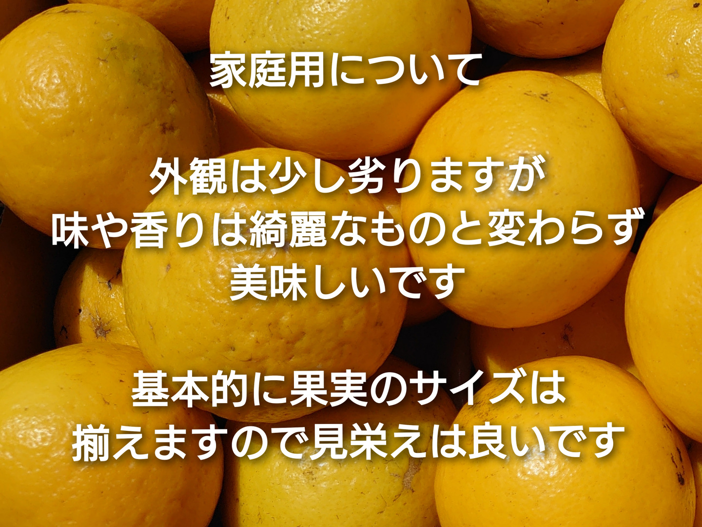 激安価格の 86a4b58f94da93509f6a62347d0c08 果物