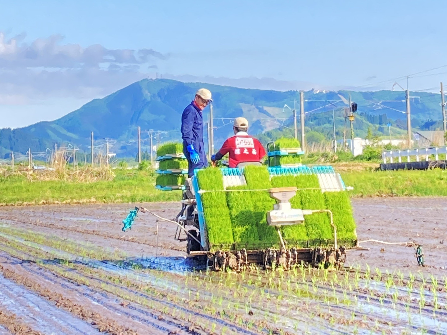 青森県産米 まっしぐら 10㎏（白米）：青森県産のお米｜食べ