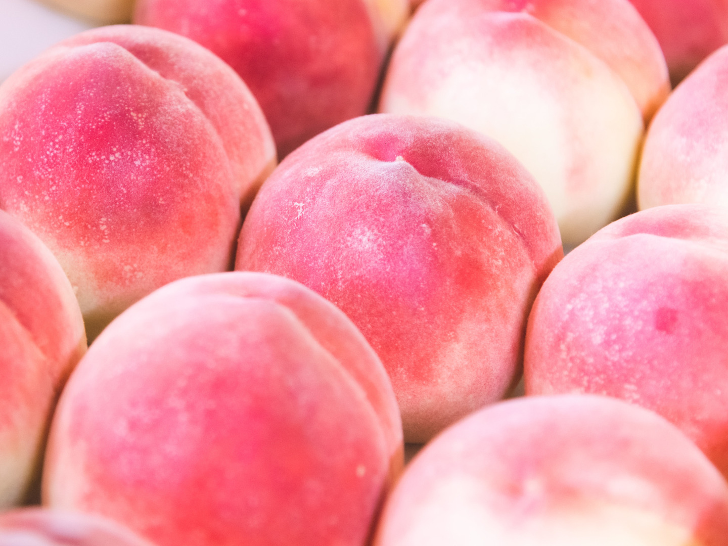 限定販売】9月の桃！！「夢かおり」2kg：山梨県産のその他桃｜食べ