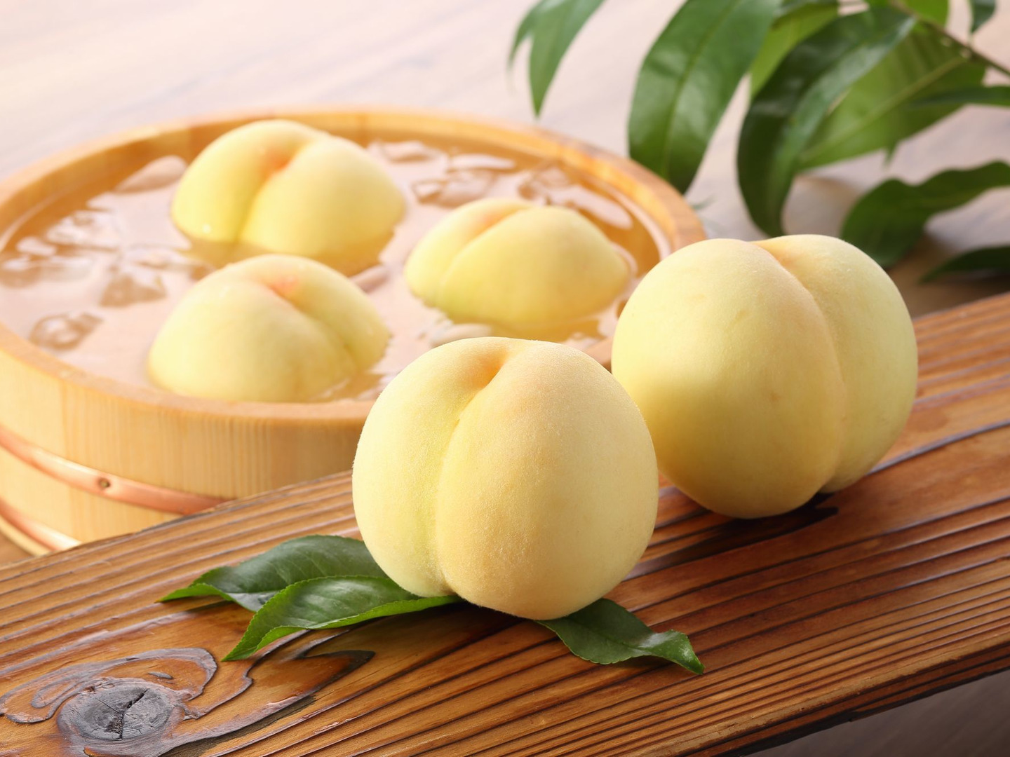 クール便】(訳あり品)岡山白桃 1.4kg：岡山県産の白桃｜食べ