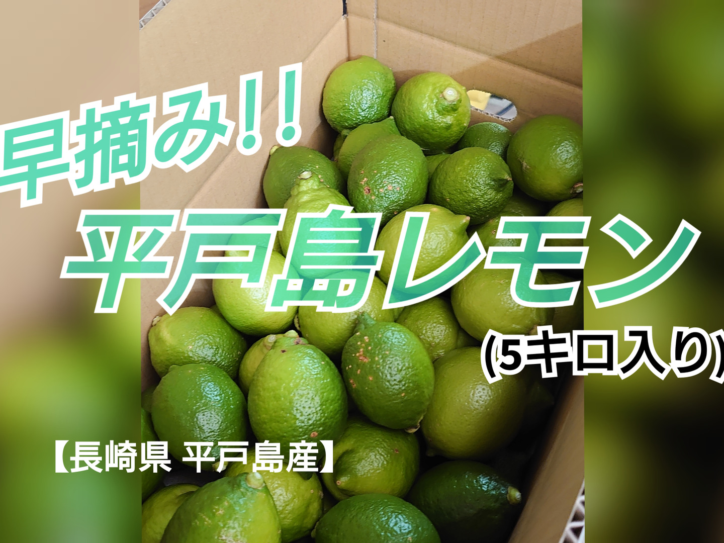 【NEW限定品】 ccfdba56493c07383e84ab918c28f0 果物