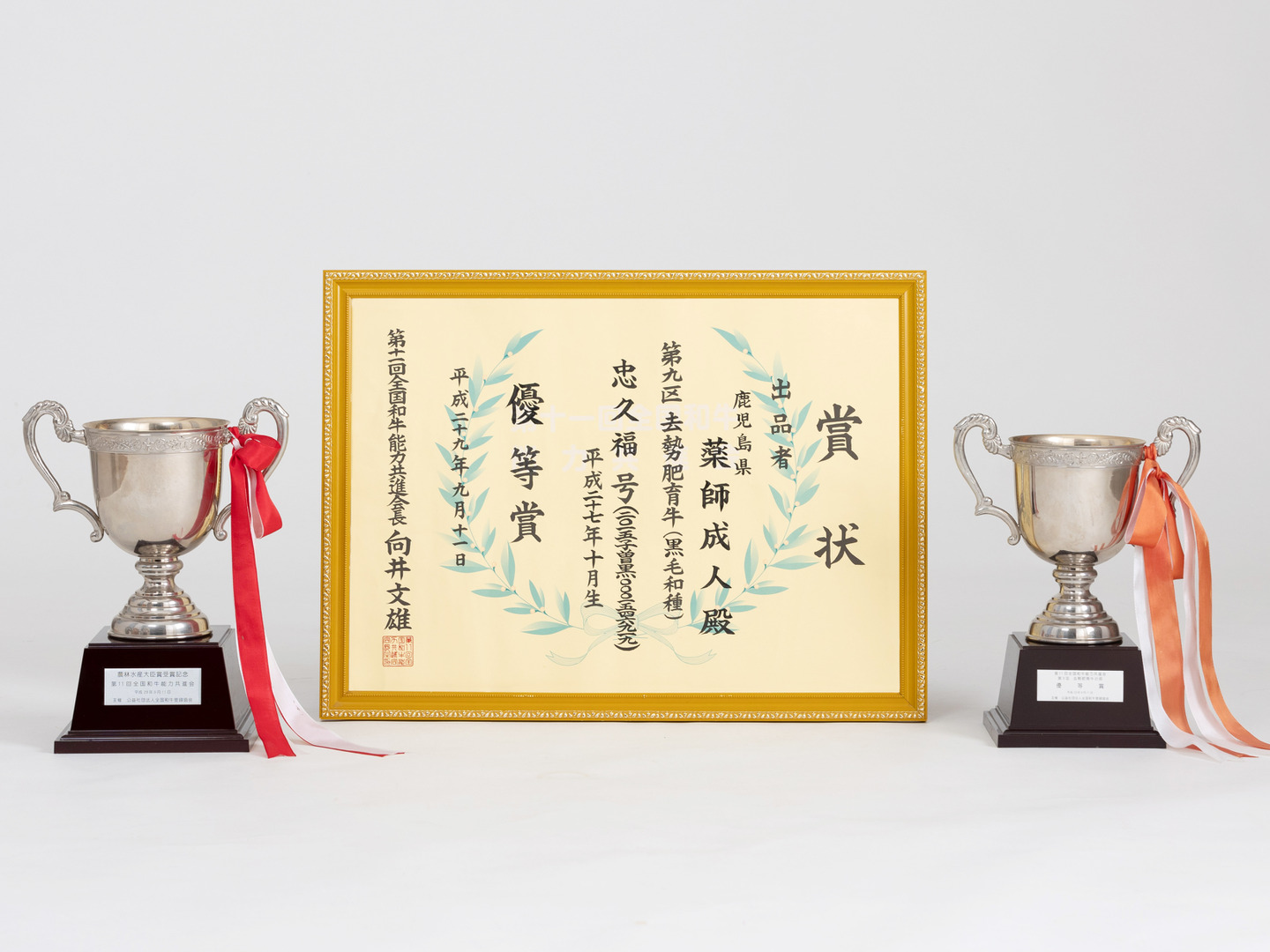贅沢な逸品を！ 薬師牛 鹿児島黒牛A5等級サーロインステーキ