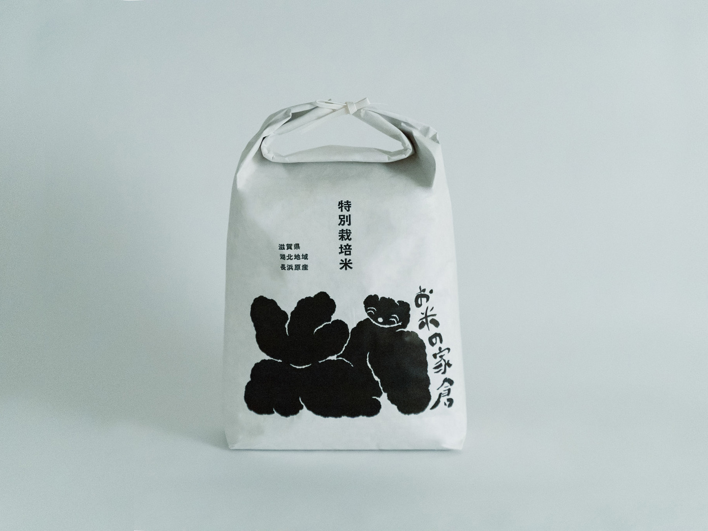 令和6年】粒を感じてしっかりおいしいコシヒカリ4.5kg(30 令和6年】粒を感じてしっかりおいしいコシヒカリ4.5kg(30