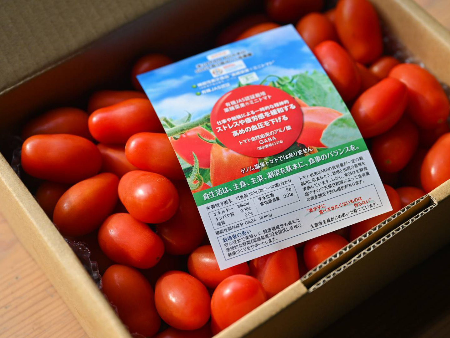 人気商品の 日本初有機JAS栽培した機能性表示ミニトマト1kg：長野県産の 野菜