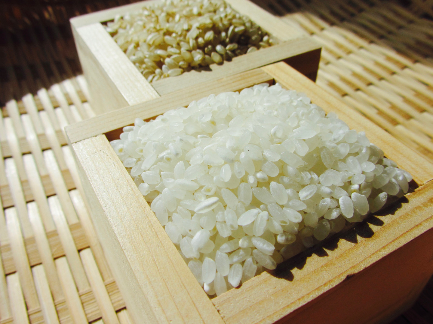 ★necofski-様★専用【減農薬米 きぬむすめ】10kg 予約販売🌾 農薬化学肥料不使用栽培🌾2025年度産【きぬむすめ