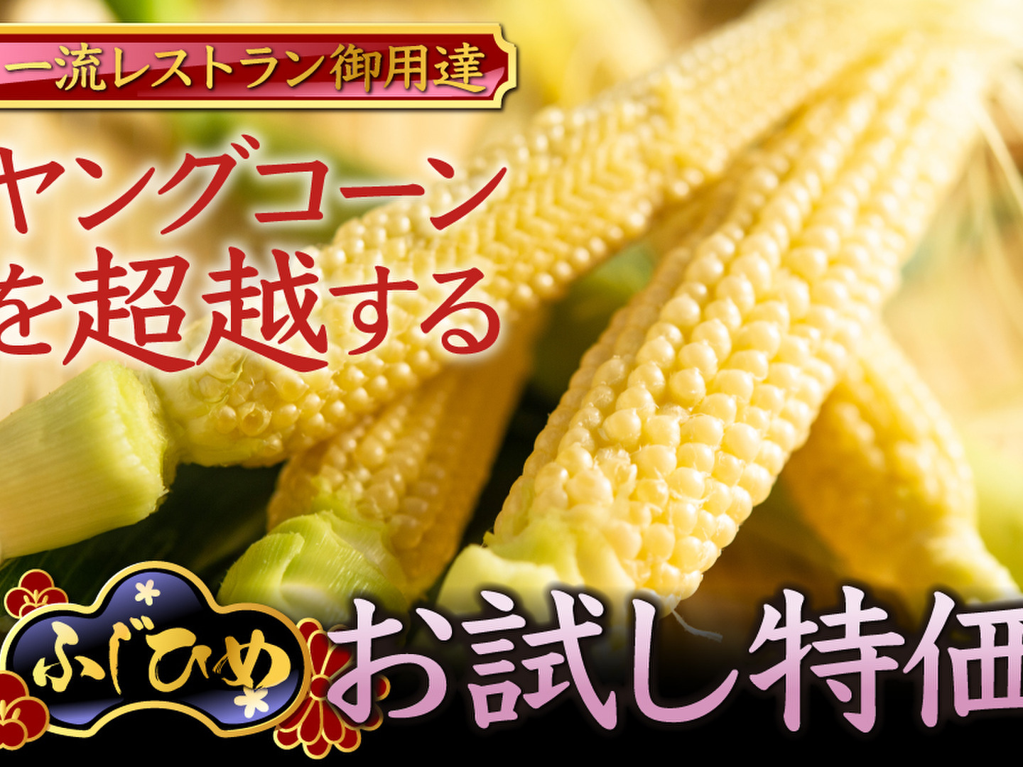 d1dbd74aae8ac0d69239d4c95d9ca3