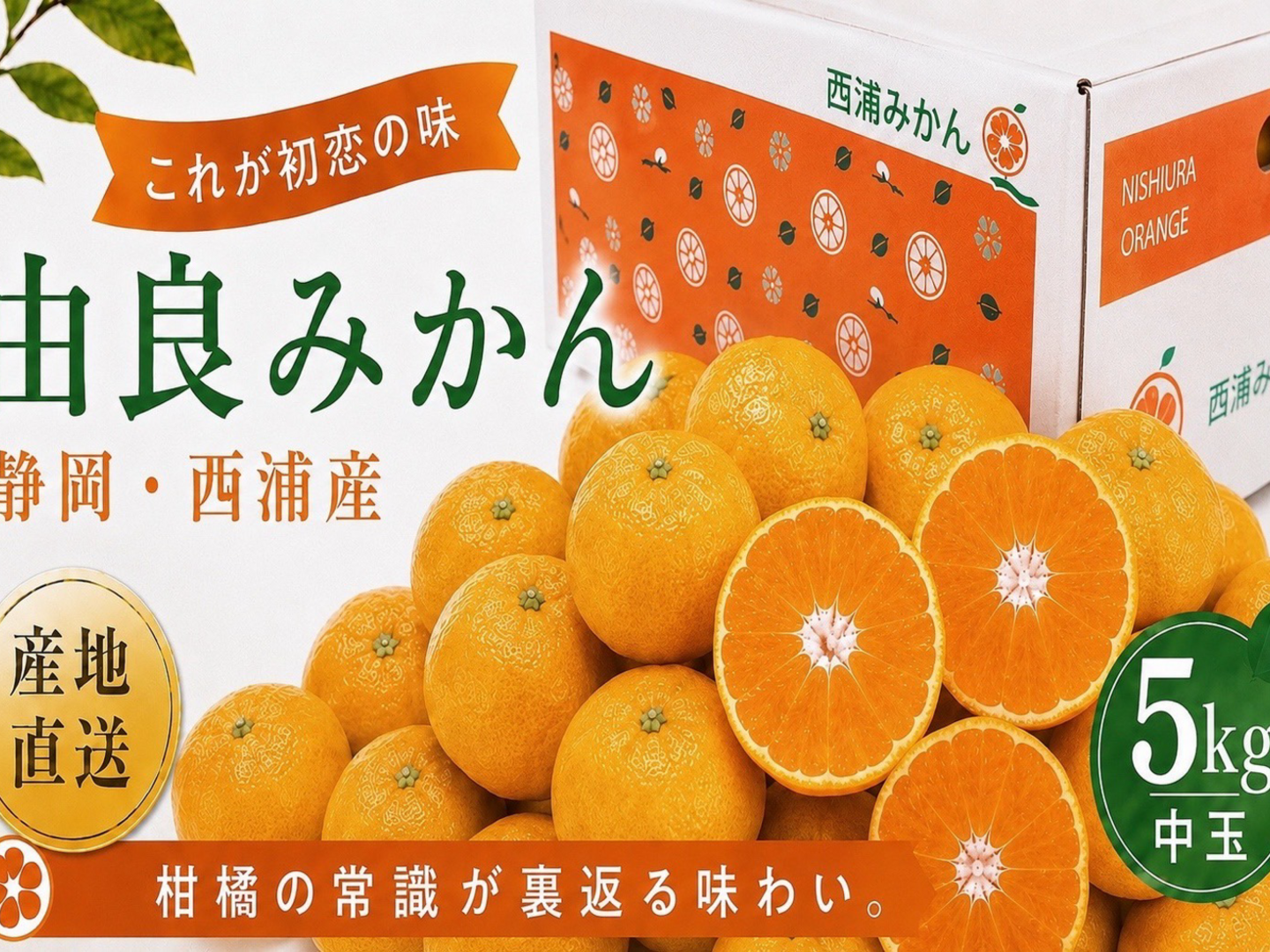 9周年感謝祭】 『沼津西浦産』由良みかん 早生 【中玉 5kg】：静岡県産