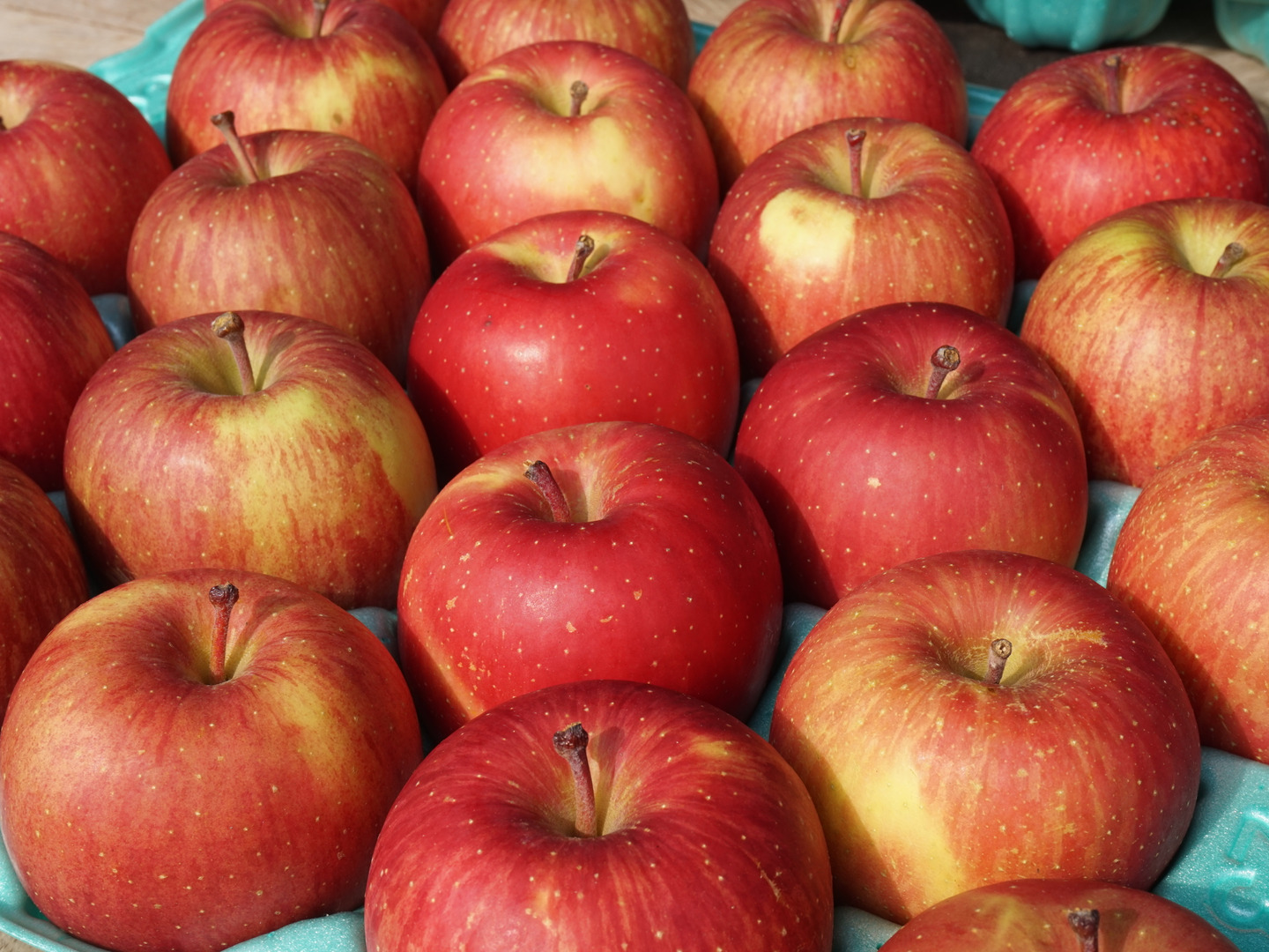 マミ★岩手県産減農薬葉とらず三島系サンフジりんご贈答用5.5kg +5kg マミ様専用☆岩手県産減農薬葉とらず三島系サンフジりんご