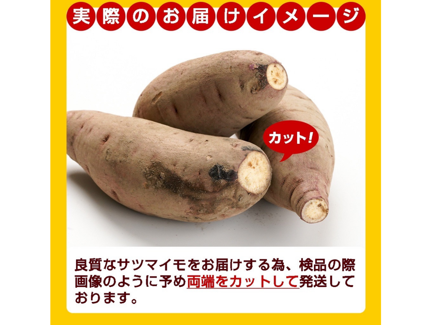 10月お届け！【紅はるか5.0kg】日本さつまいもサミットFARMERS